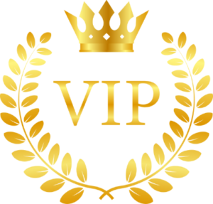 mockup pack access vip 300x287 1